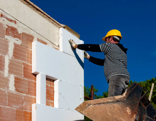 Best Residential Insulation in Boulevard Gardens, FL