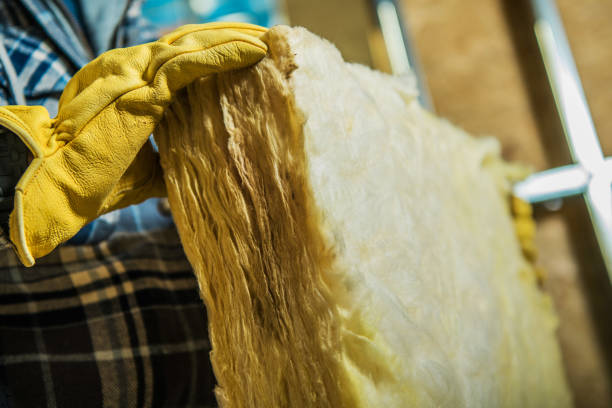 Types of Insulation We Offer in Boulevard Gardens, FL