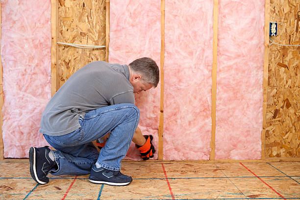 Best Blown-in Insulation in Boulevard Gardens, FL