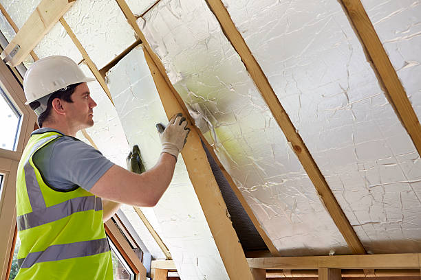Best Geographic-Specific Insulation Services in Boulevard Gardens, FL