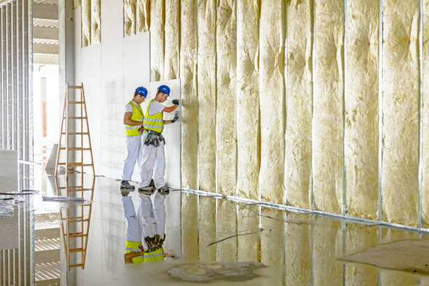 Best Commercial Insulation in Boulevard Gardens, FL